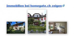 homegate.ch & search.ch